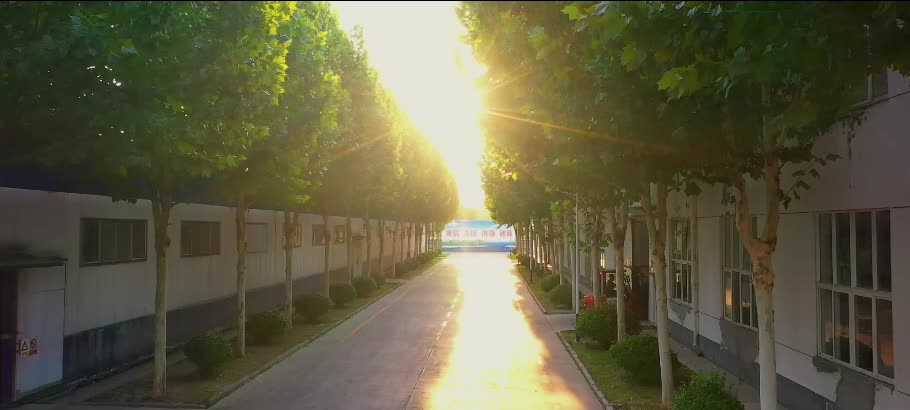 Tree-lined road inside the Aosen factory, from the company video